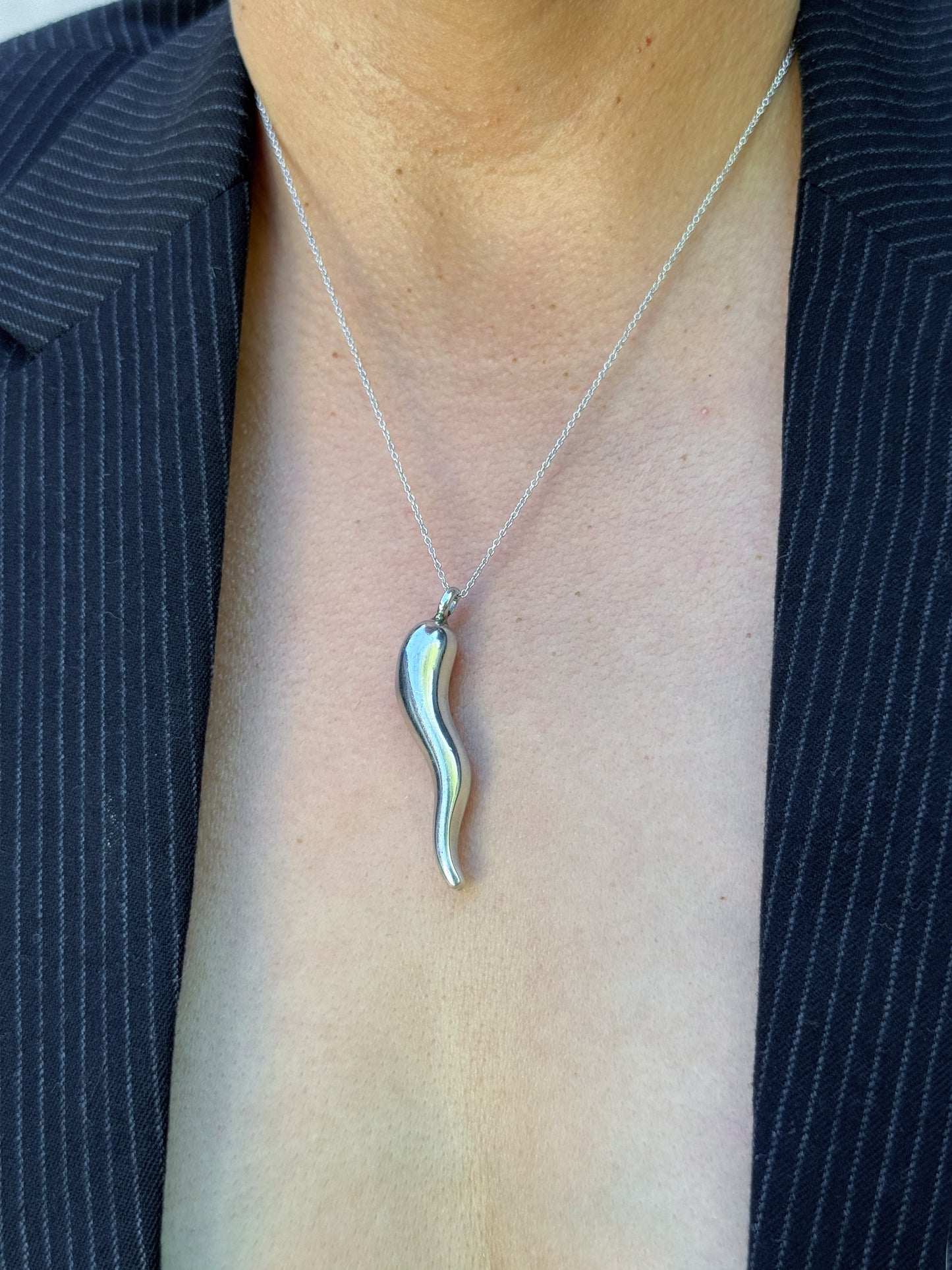Vintage Sterling Silver Italian Horn necklace